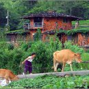 쌍둥이네흙집 이미지