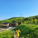 용연농장 이미지