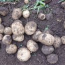 지리산농장 이미지