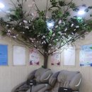 강민한의원 이미지