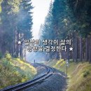 오늘도;꽃모닝