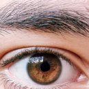 으뜸50안경 성신여대점 이미지