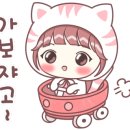 온하루 동물의료센터 이미지