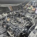 정일카센타 이미지