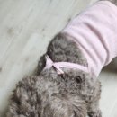강아지 옷 만들기 이미지