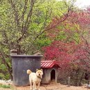 진숙목장 이미지