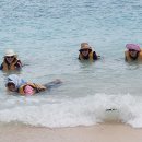 툰구압둘라만 해양공원(마누칸섬) TALK-ALL-1 이미지