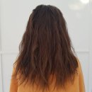 제이브라운헤어 - 171139 | 제이브라운헤어