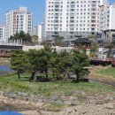창곡길 Daum카페