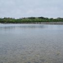 영랑호수윗길 이미지