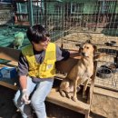 본 동물의료센터 이미지