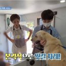 멍빨DAY 이미지