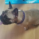 스파츄스 이미지