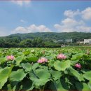 내동마을 이미지