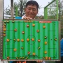 대화인조잔디구장 이미지