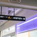 PC월드 | 오픈월드게임, 원신 5.1 PC 라운지에서 플레이해본 후기!