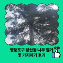 학의천변(한전방향) | 영등포구 당산동 나무 철거 및 가지치기 후기