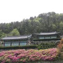 장수암 | 창원 바다뷰 사찰 추천 바다뷰를 품은 창원 장수암 방문 후기 역사와 가는 방법 정리