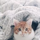 파킹통장&amp; 파킹ETF 어떤 기준이며 투자시 차이점 이미지