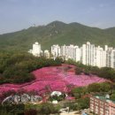 군포시청 이미지