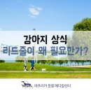 리드메디칼(주) 이미지