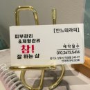 안느테라피