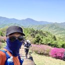 비전동 소로 3-32 | [산에게 반하다] 지리산 100대명산 바래봉과 백두대간,서북능선 풀코스 종주