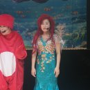 용암초병설유치원 Daum카페