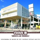 10~12월(일,금 출발)대마도 특가 1박2일 섬 테마여행 이미지