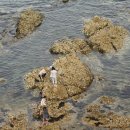 이순신공원 이미지