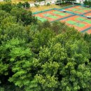 산지관리행정사사무소 이미지