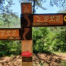 한아름 사슴 농장 이미지