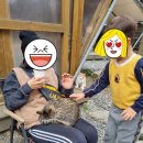 하늘바라기캠핑장 이미지