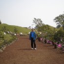 복창초등학교 이미지