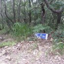 삼복주유소 이미지