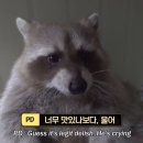 디어 에반 핸슨 👕 충무아트센터 1층 6열 벽싸💻 240614 낮공