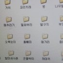 새이름 이미지