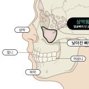서울훈치과의원 이미지