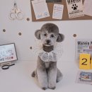 알콩달콩 애견미용실 이미지