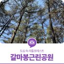 갈마봉공원 네이버블로그