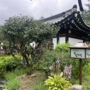 물꼬방 | 포천 고모리 가볼만한곳? 한옥카페 물꼬방 | 솔직후기 &amp; 아쉬운 점