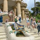 드락 | 바르셀로나 : 구엘 공원 방문 후기