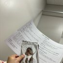 파티마 유도분만 후기