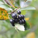 양병천농장 이미지