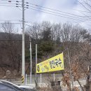 정인국수 | 보광사 맛집 생활의달인 <정인국수> 내돈내산 솔직후기