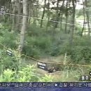 백합다방 이미지