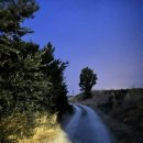 새들한의원 | [나 혼자 산티아고 순례길] 여름 프랑스길 | D+19 레온