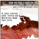 마이야르 이미지