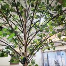 성안 초등학교 이미지