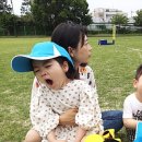 영천동 법호촌 이미지